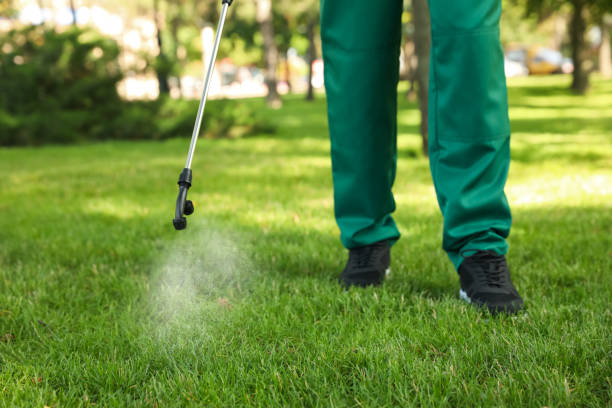 Trusted Springerville, AZ Pest Control Experts