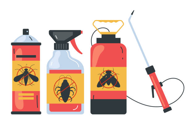 Best Emergency Pest Control  in Springerville, AZ